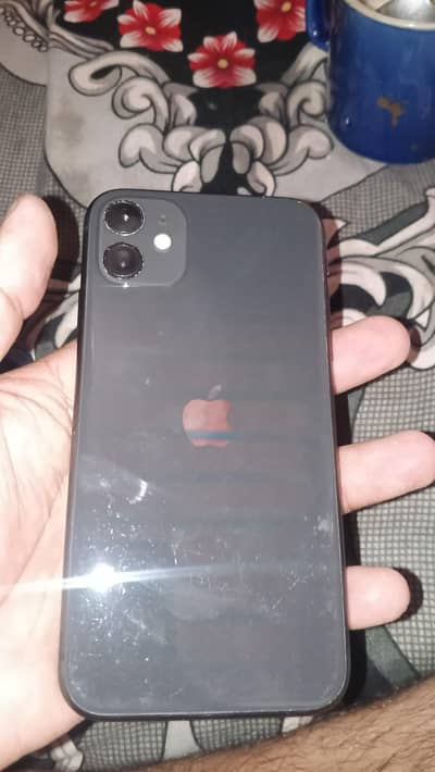apple 11