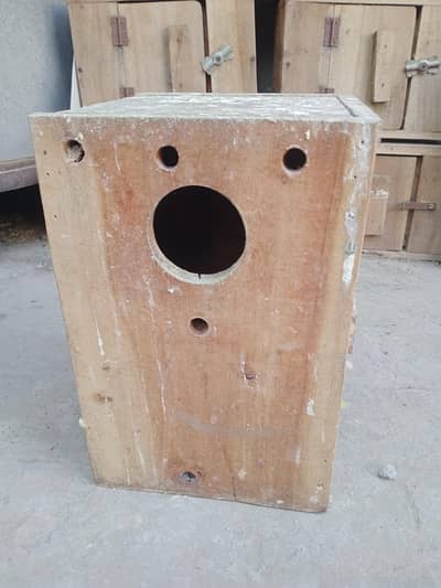 love Birds kekar box