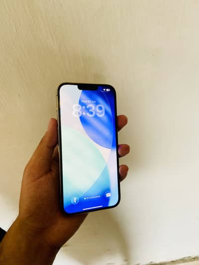 iPhone 13 Pro Max factory