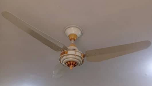 Celling fan for sale