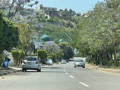 Reserve A Residential Plot Of 4875 Square Feet Now In Bahria Spring North