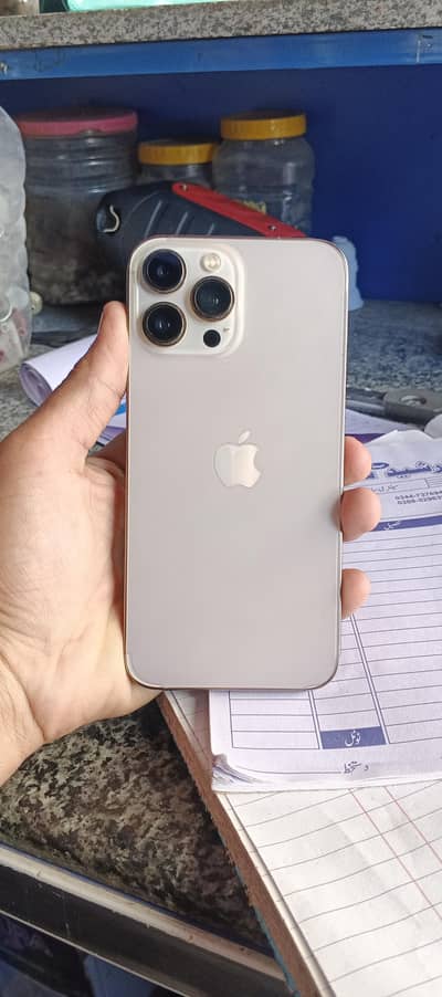 Apple iPhone 13 Pro Max