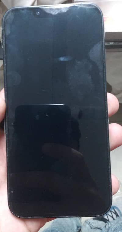 Apple iPhone 13 jv