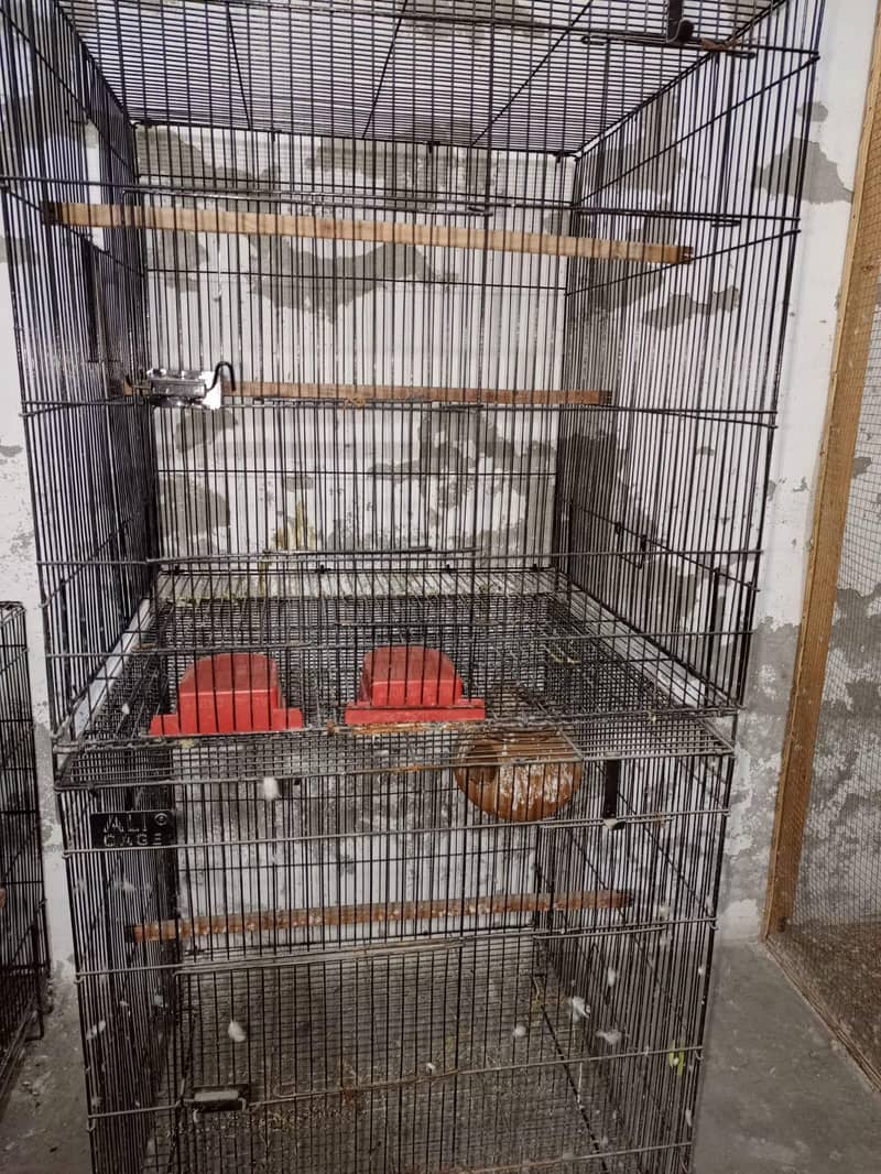 cages 1