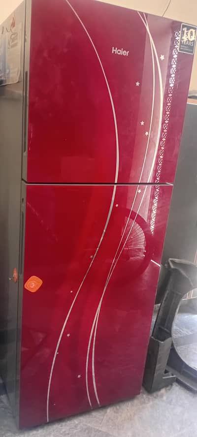 haier glass door large size