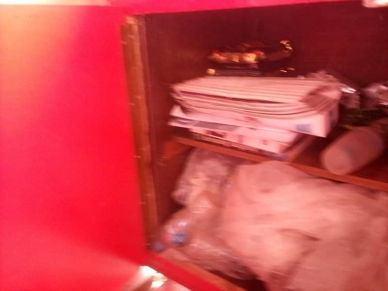 cabin 11