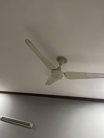 Cooper wired orignal fans
