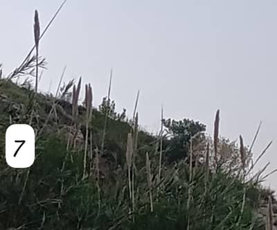 10 Marla Residential Plot Is Available For Sale In Township scheme Abbottabad