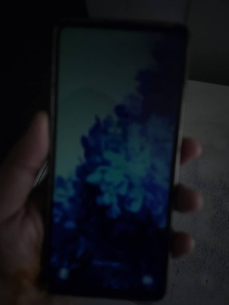 S20 FE Screen issue 10