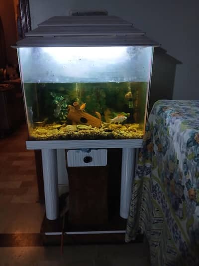 aquarium with all setup and fishs