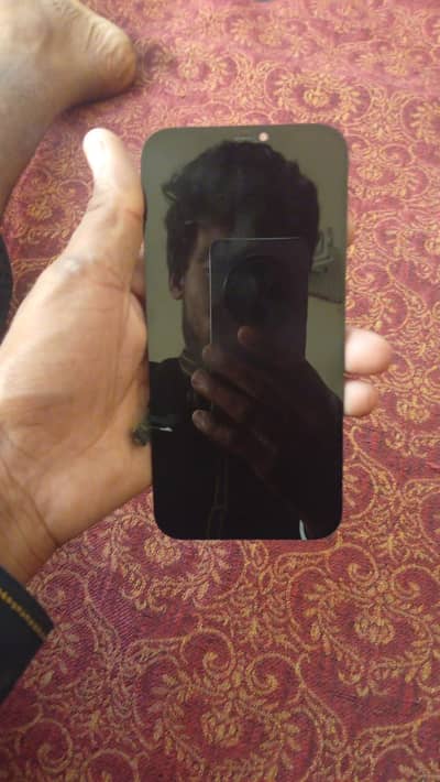 Apple iPhone 12 Pro Max