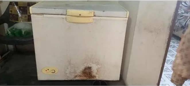 D freezer All okay 