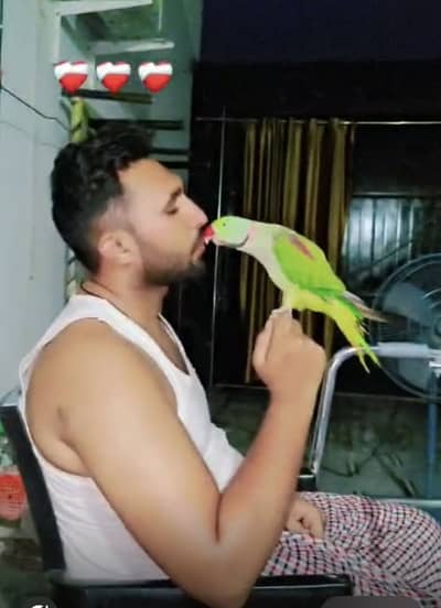 Raw male face to face talking 3225844099