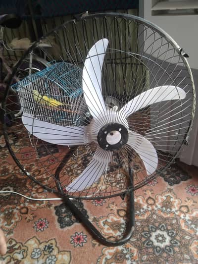 12 volt dc tebal fan