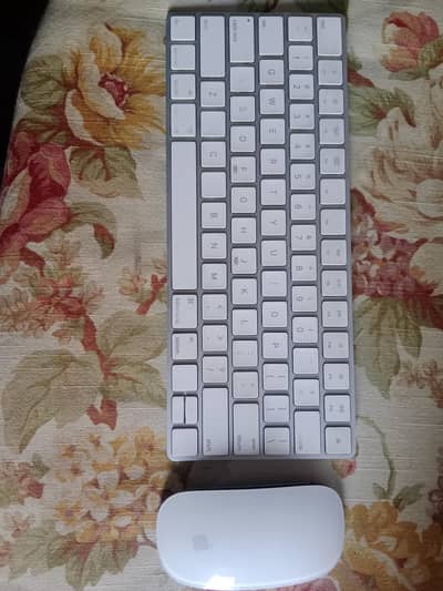 apple key board and mouse