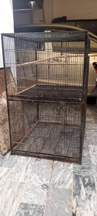 2 portion big Cage for Raw /ring nack parret