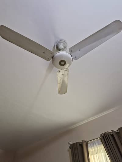 Fans for sale