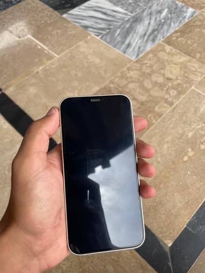 Apple iPhone 12