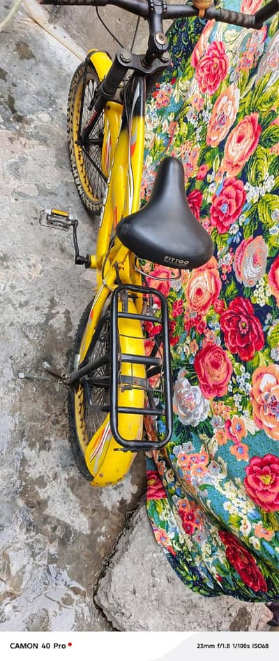 yellow colour
