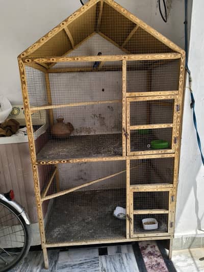 Birds Cage