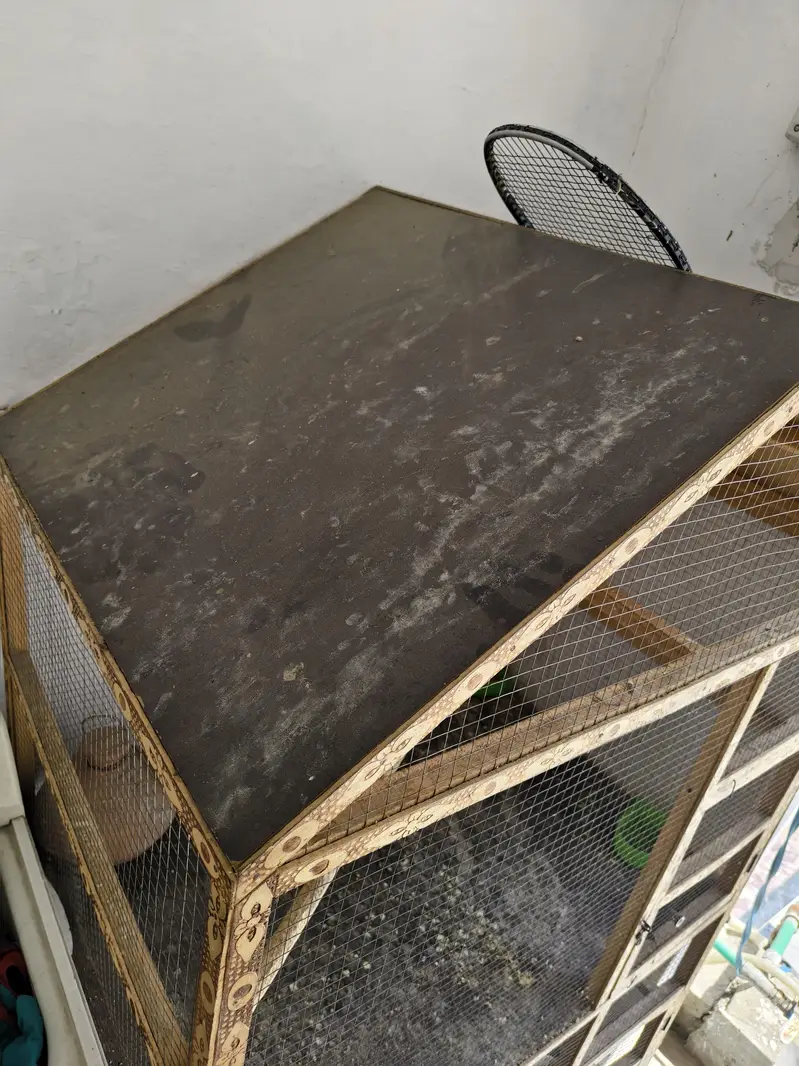 Birds Cage — photo 2