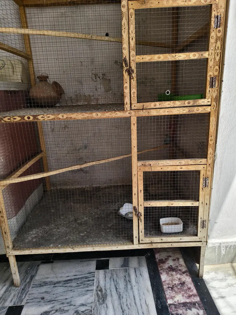 Birds Cage — photo 5