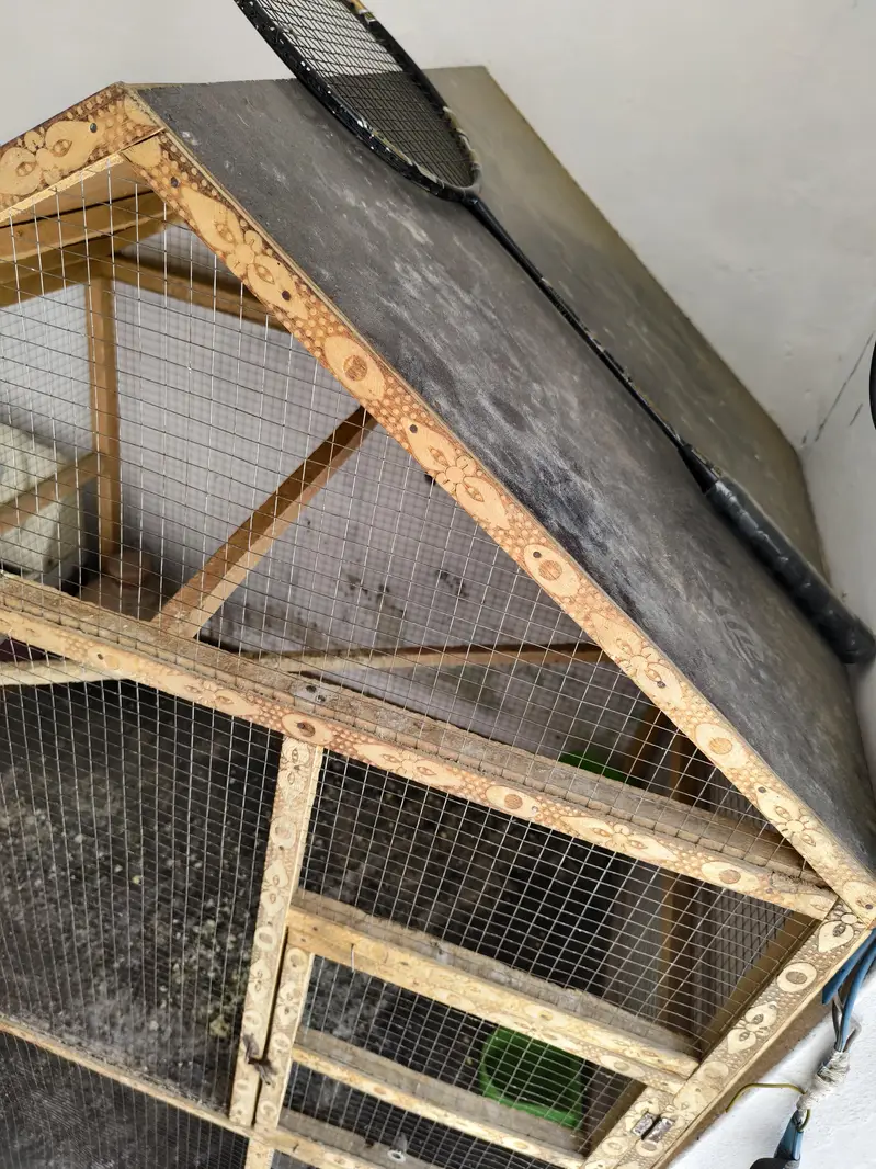 Birds Cage — photo 10