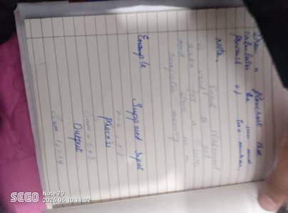 hand written practical book
