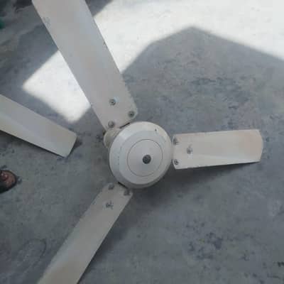 Ceiling Fans ( copper wire