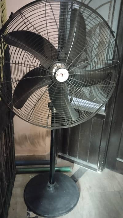 2 pedestal fans.