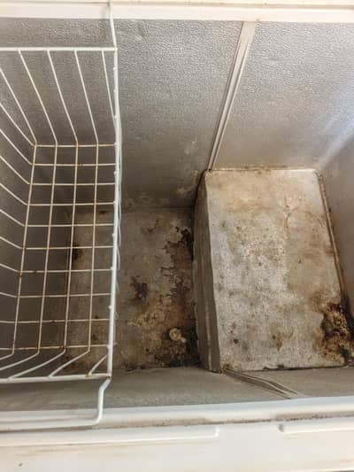 used freezer