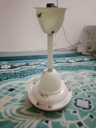 seeling fan sell