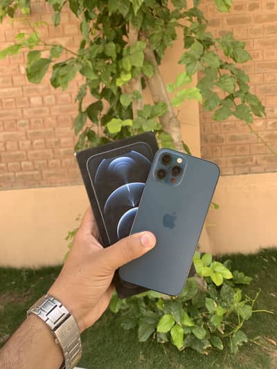 Apple iPhone 12 Pro Max Approved