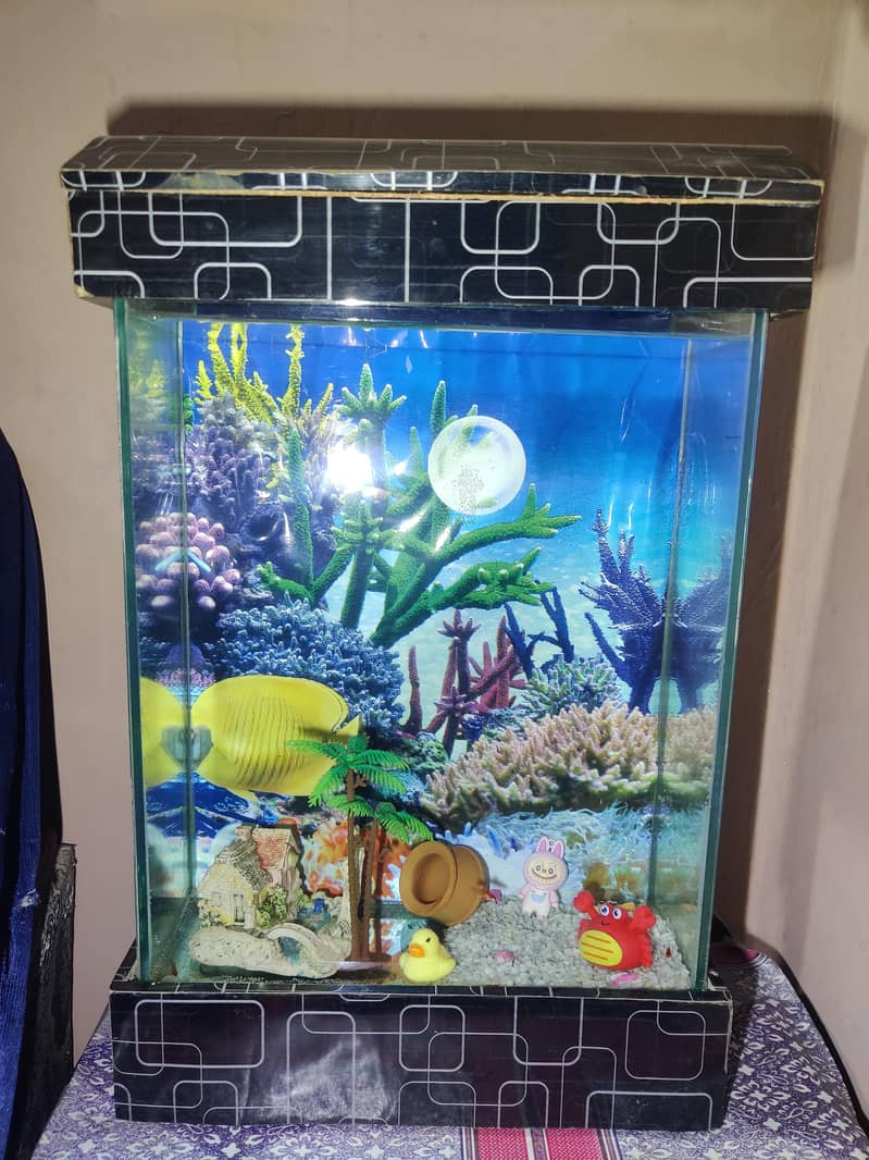 FISH EQUARIUM  0