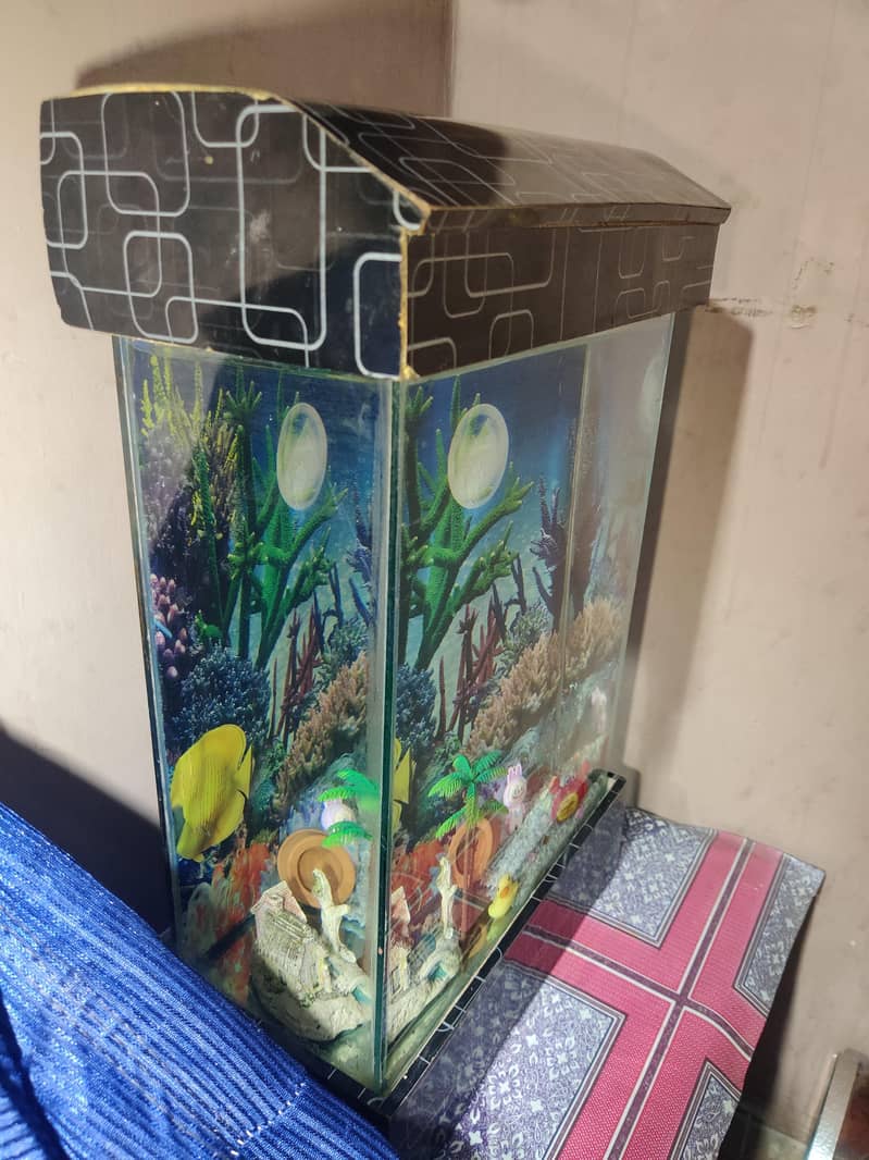 FISH EQUARIUM  1