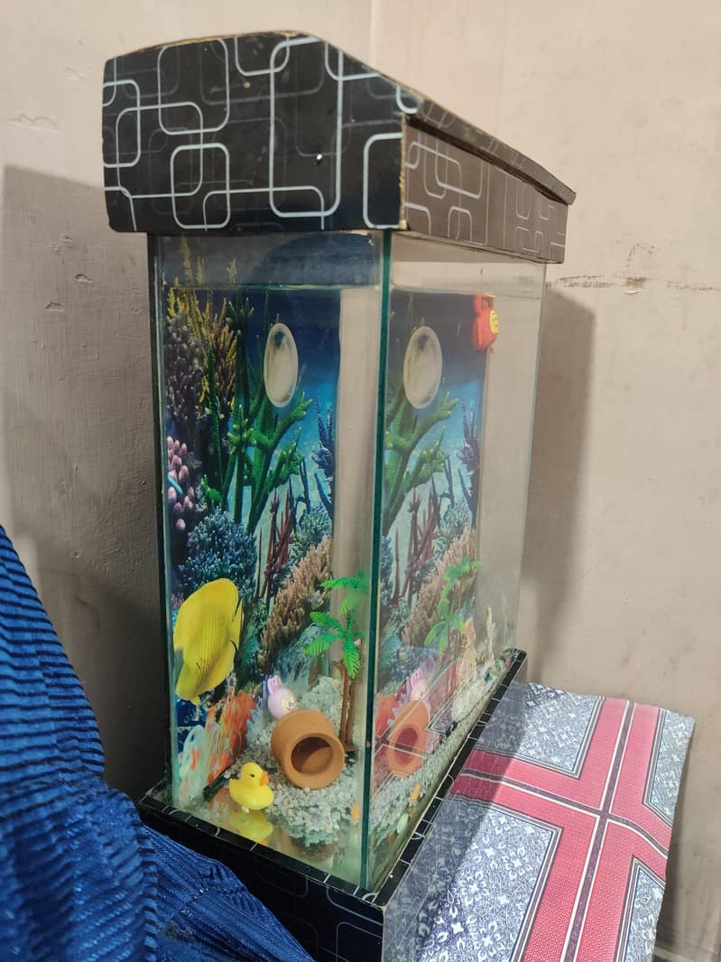 FISH EQUARIUM  2