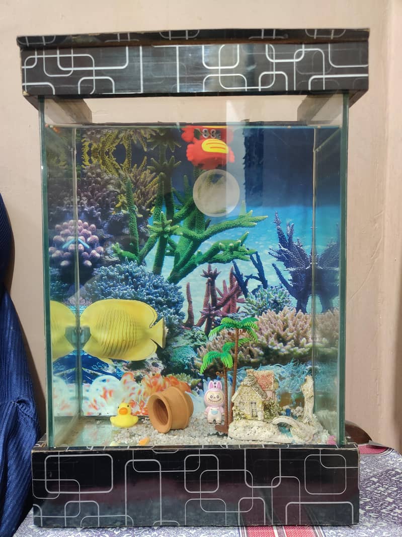 FISH EQUARIUM  3