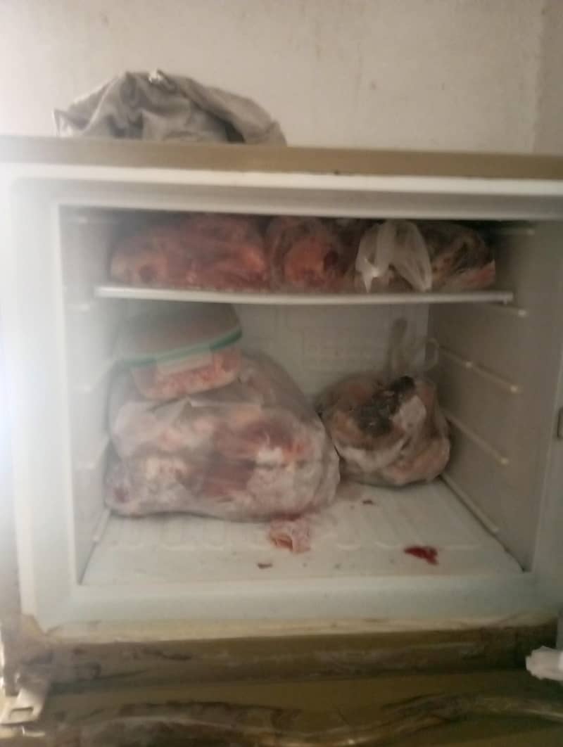 dawlance freezer 3