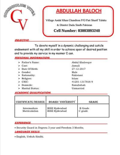 CV writting , and data entry services
