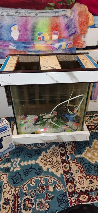 Fish aquarium