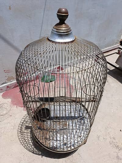 parrot cage
