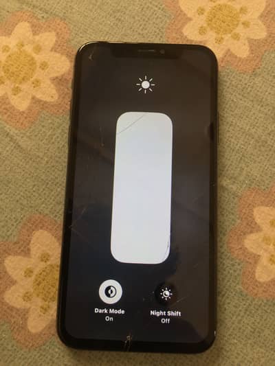 Apple iPhone X