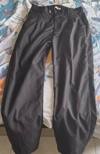 Pleated Pants from Fitted, Size 30, Flexible Waist