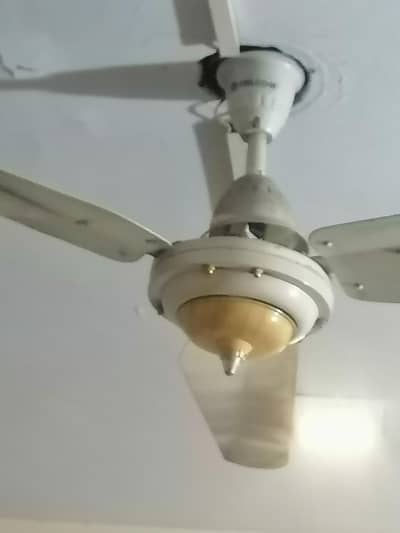 falcon Ceiling Fan 56 inch