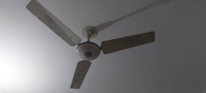 Younas  Fan