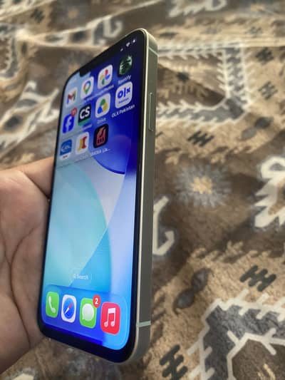 Iphone 12 pta approved