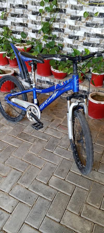 mountain cycle