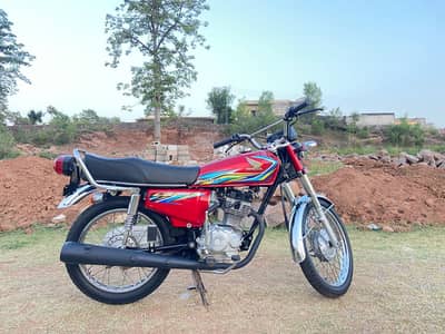 Honda 125 all Punjab number