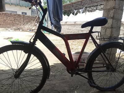 Cycle for sale