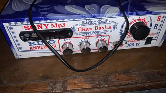 Amplifier for sale 10” supported